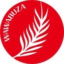 15년의 자신감 운동선수 추천 이미지