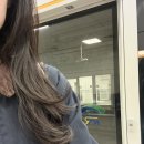 슈어파트너스 | 다이슨 저렴이 추천ㅣ슈어홈 뷰티 헤어 스타일러 내돈내산 완전추천