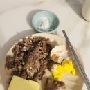 덤핑싸 | 카니보어 지향식단 29주 후기