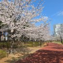 [20250406] 베베핀 뮤지컬 , 주간일기