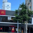 맥도날드 화명 DT 네이버블로그