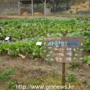 유기농테마파크(도시공사)