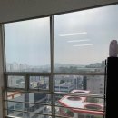 190622 제이인테리어필름 시트지 전주 효자동 대신타워 9층 유리창 건축용 열차단 기능성 필름 시공...
