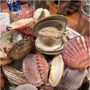 군산해물칼국수&찜 네이버블로그