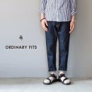 핏츠(FITS)