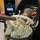 눈애안경 이미지