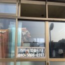 올리브낭 이미지