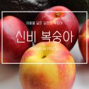 싱그린영농조합법인
