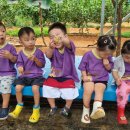 은호농장 이미지