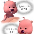 낭니