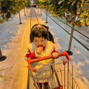 원뜰농장 이미지