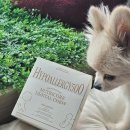 E-DENTAL | 강아지치석껌/덴탈껌 추천! 어반포즈 닥터뉴트리코어 하이포알러지500으로 치석 관리