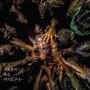 인도스릴러영화 [잘리카투] 줄거리/ 감상 후기, 마치 전위예술 같은
