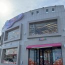 제스토리 | 제주도 여행 선물 기념품 먹거리 가격 살만한곳 소품샵 추천
