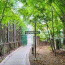 압구정-109 이미지