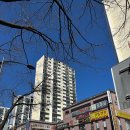 우리네 코다리 | 우리네 코다리, 성남시 분당구