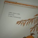 권*배 이미지