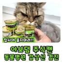 청아동물병원 이미지