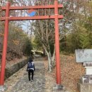 화순 포충사지 이미지