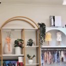 뽀도독 애견 카페 이미지