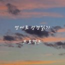 하윌라(Havilah) 이미지