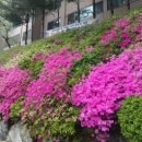 삼환아파트경로당 이미지