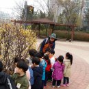 파랑새몬테소리어린이집 이미지