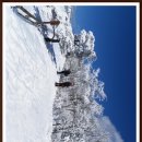 거산목장 이미지