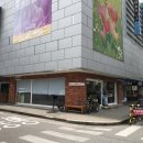 종합운동장 가로수길 이미지