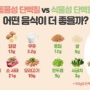 닭찌