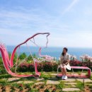 도화버스공용터미널 이미지