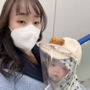별소아청소년과의원 이미지