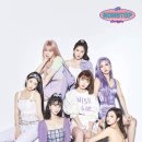 최효정헤어 Daum카페
