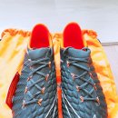 골드매니아 이미지