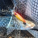 복사초등학교 이미지