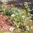 논실농장 이미지