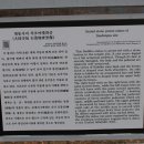 대동문구 이미지