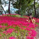 활천공원 이미지