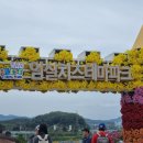 고고임실치즈피자 이미지