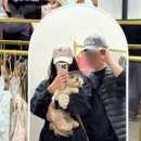 VIP펫 | 2025 일산 케이펫페어 메가주 하반기 쇼핑 후기 (누앤누, 동해형씨, 아인솝, 도기넛, 듀먼, 올헝클...