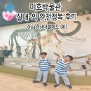[남양주 아이와 가볼 만한 곳] 미호박물관 실내·외 완전정복 후기 (feat. 장마철에도 OK)
