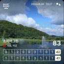 소피아힐링 이미지