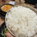 송화로 | 충주 연수동 맛집 백송화로 연수점에서 한돈모듬한판