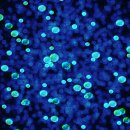 우먼플러스산부인과의원 이미지