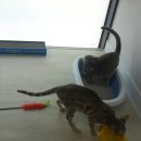 호텔 오레 이미지