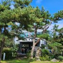 백년오리 | 구미 광평동맛집 오리산성 백년가게 인증 가족외식 명소 생오리구이 후기