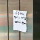 태화루그집 이미지