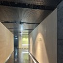중구보건지소 | 대전 마리아 인공수정 1차 성공후기 4편 피검사 후 대전 중구보건소 방문