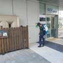 양노로 | 냄새 걱정 없이 깔끔하게 해결한 안산방역업체 경기서부센터 후기