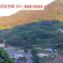 설천면116 네이버블로그